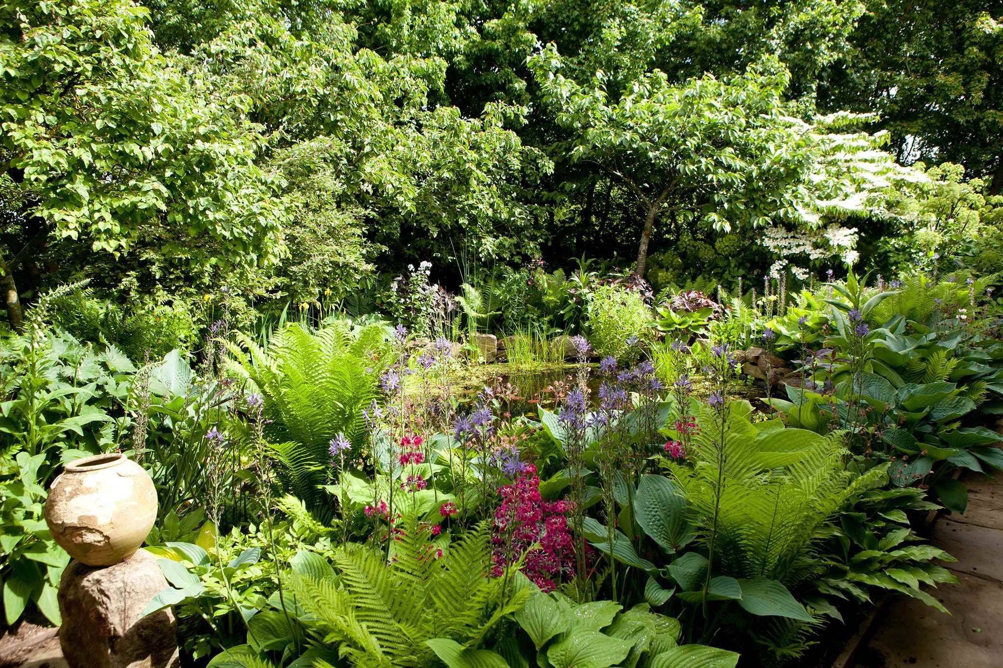North Facing Hillside Tropical Garden Design