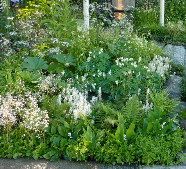 A Northfacing Border