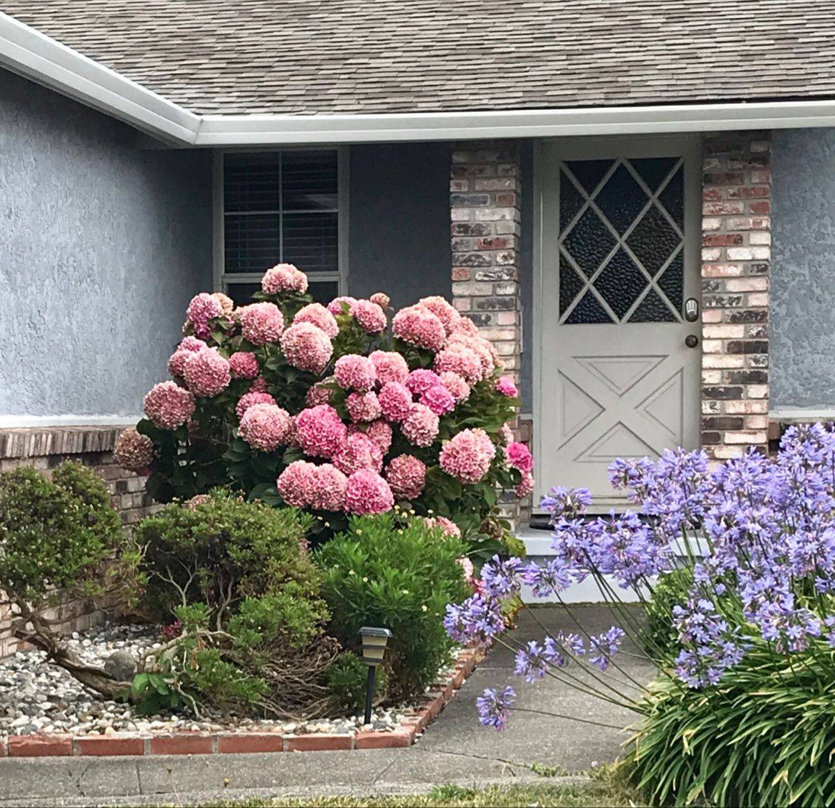 My Northfacing Border