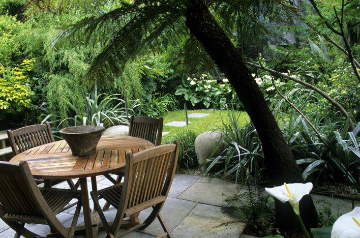 Google Search Side Yard