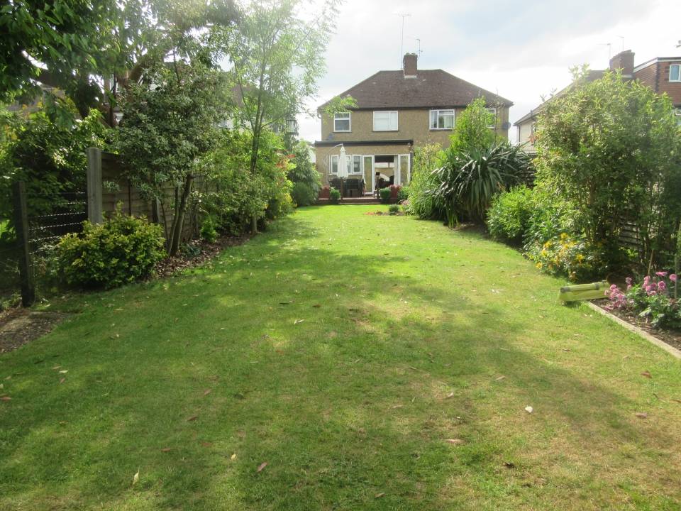 North Facing Garden Tips