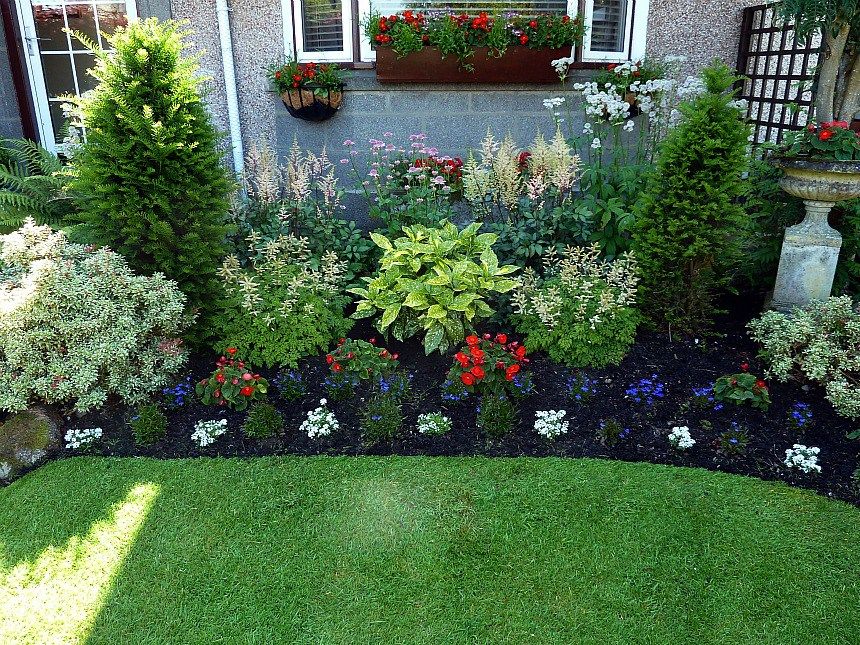 Side Yard Landscaping