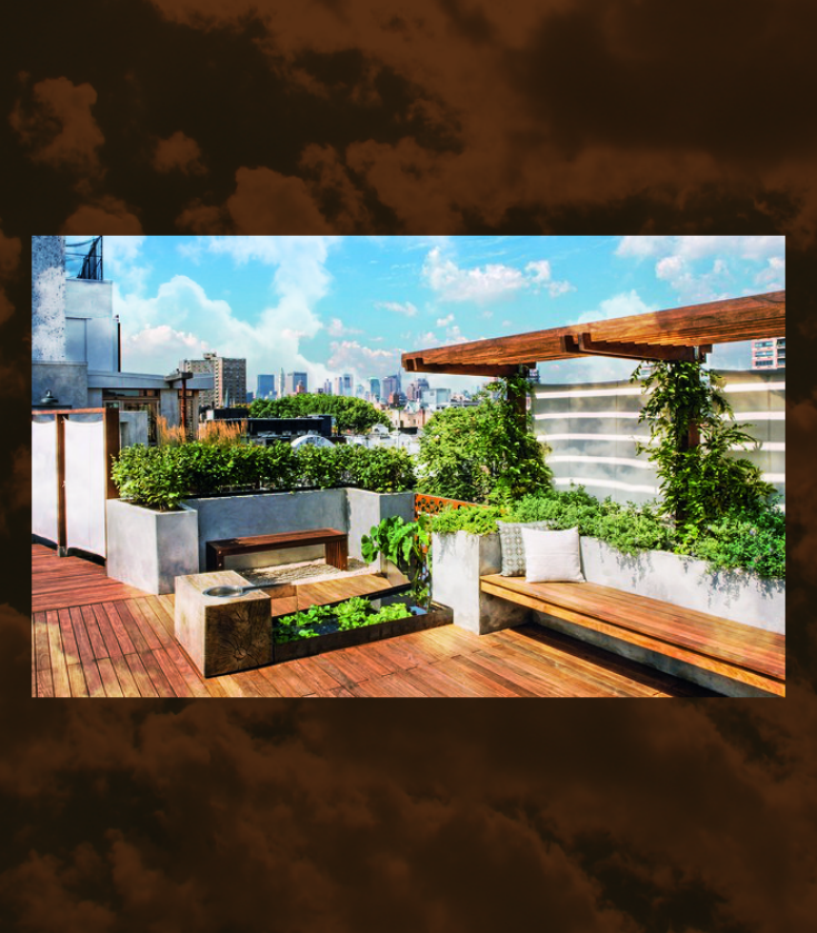 Rooftop Garden