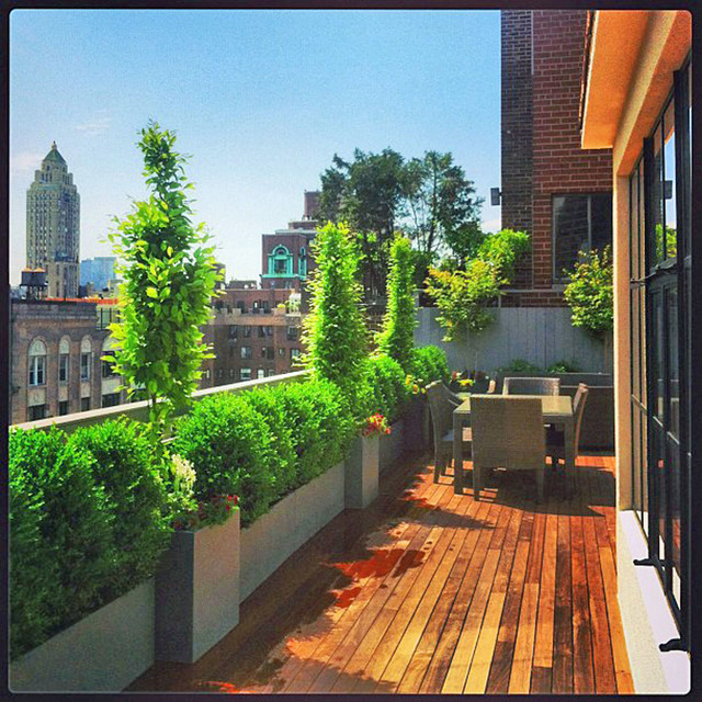 Rooftop Garden