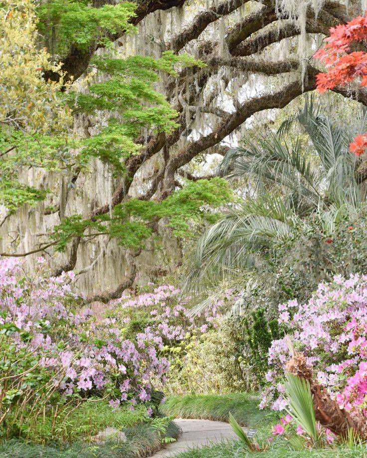 Brookgreen Gardens