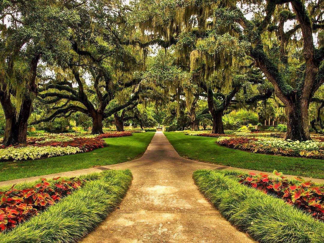Sc Griffin Garden Design