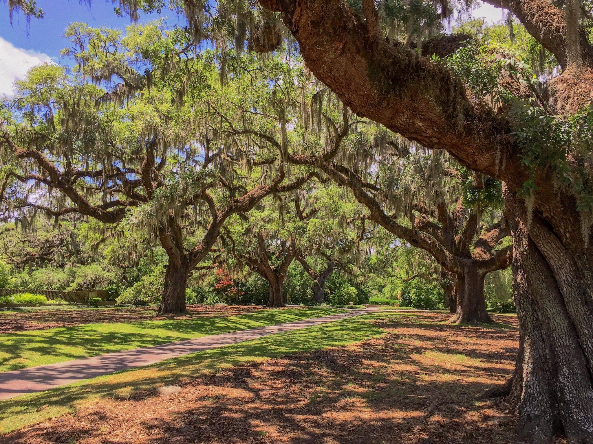 Brookgreen Gardens Pawleys Island
