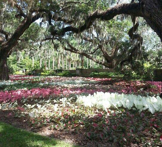 Brookgreen Gardens