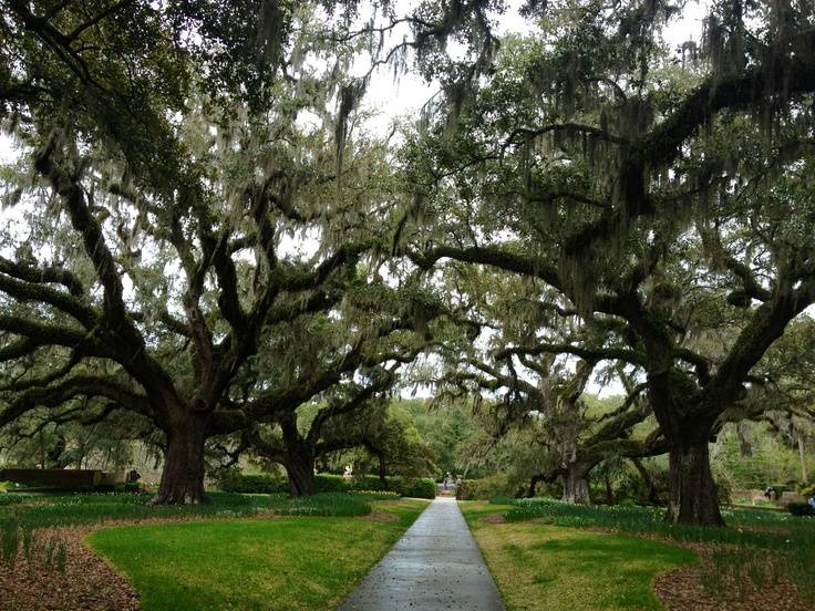 The Brookgreen Gardens