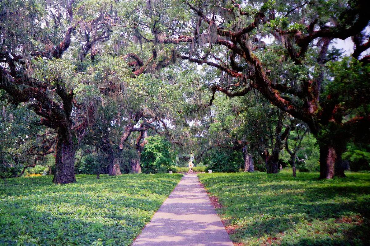 Brookgreen Garden South Carolina Places To Visit Places To Go