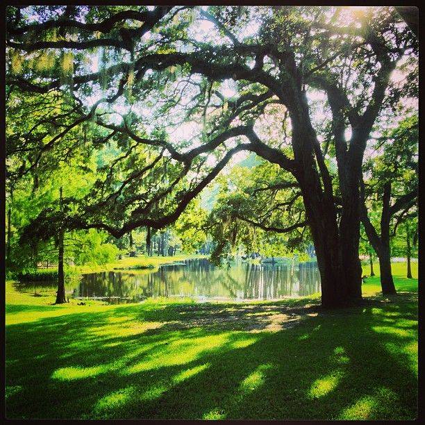 Brookgreen Gardens