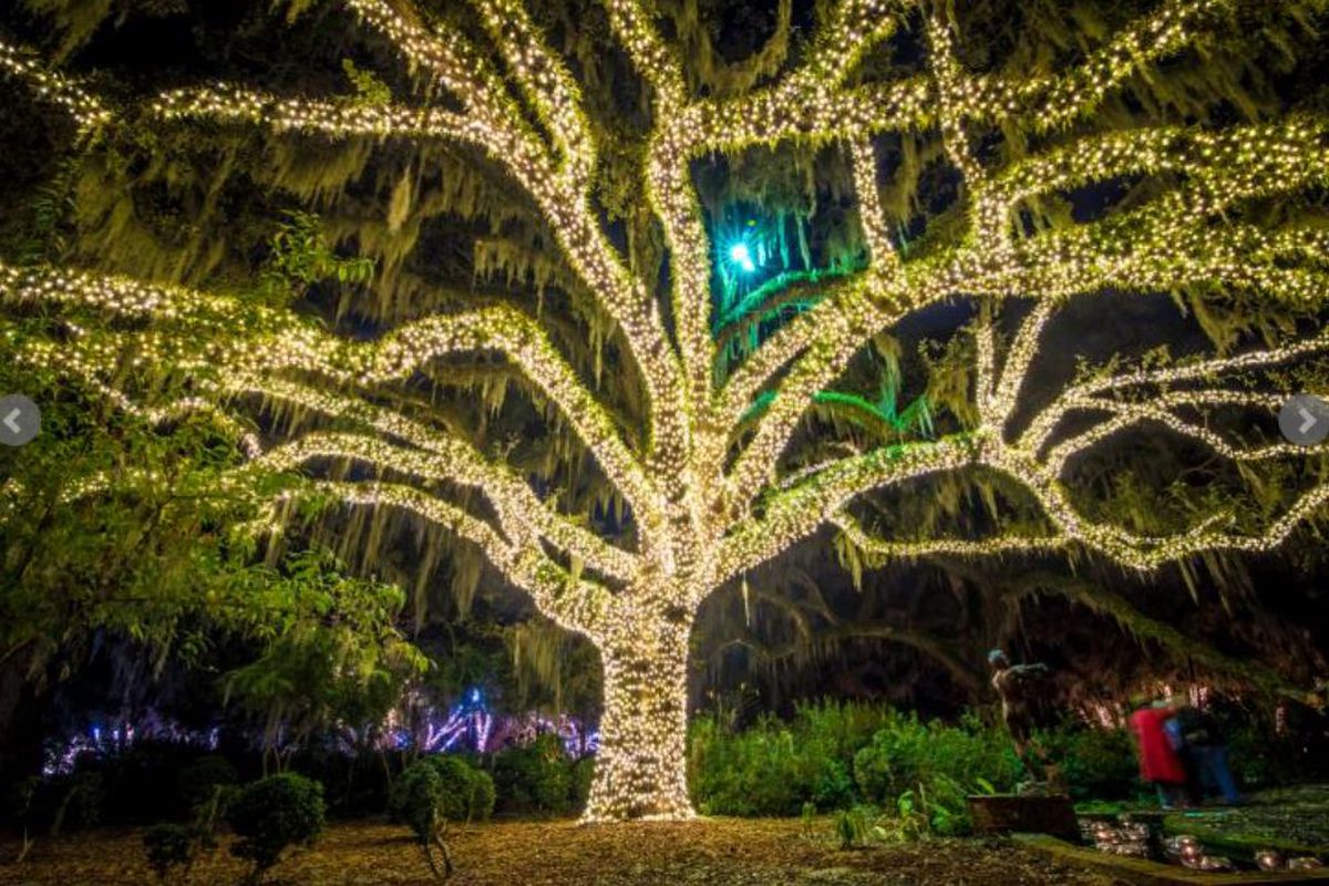 19 Night of 1000 Candles Brookgreen Garden Ideas To Consider SharonSable