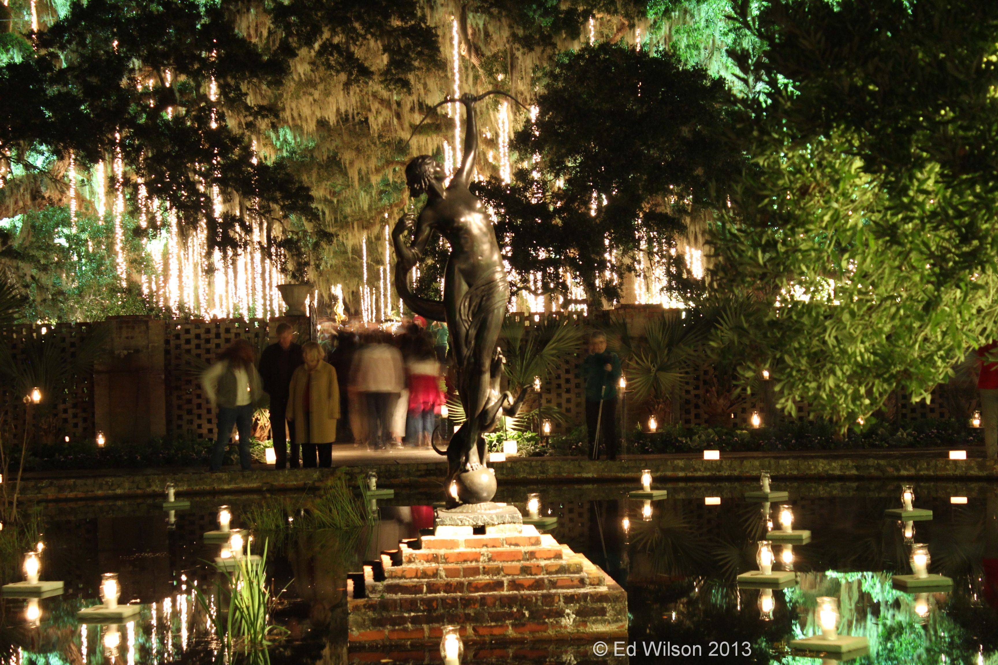 Brookgreen Gardens Night