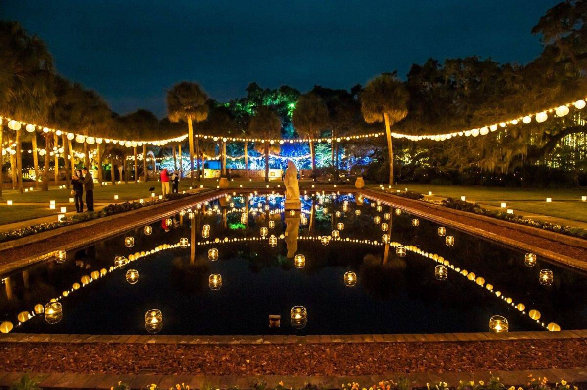 Brookgreen Gardens Night