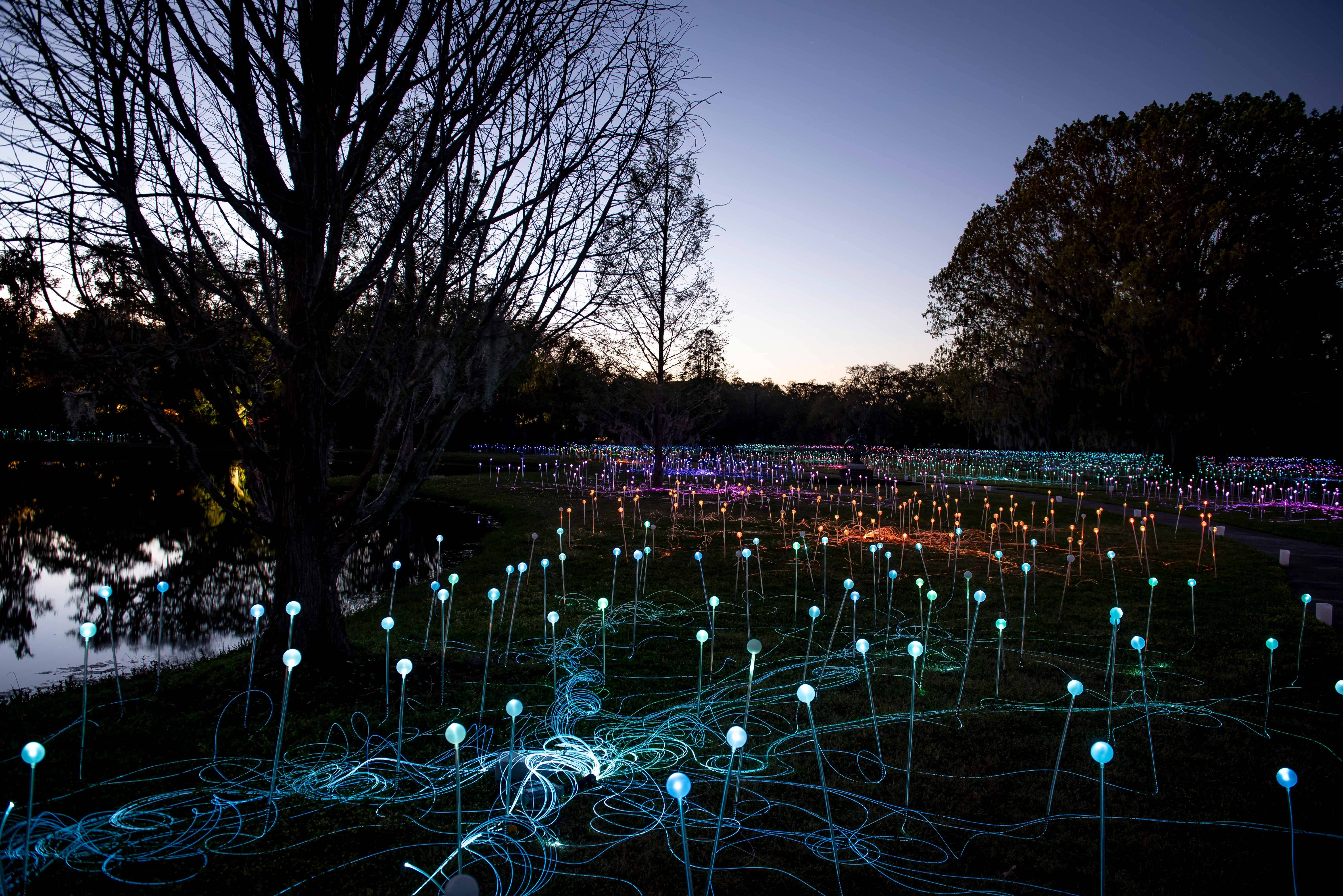 Brookgreen Gardens Night