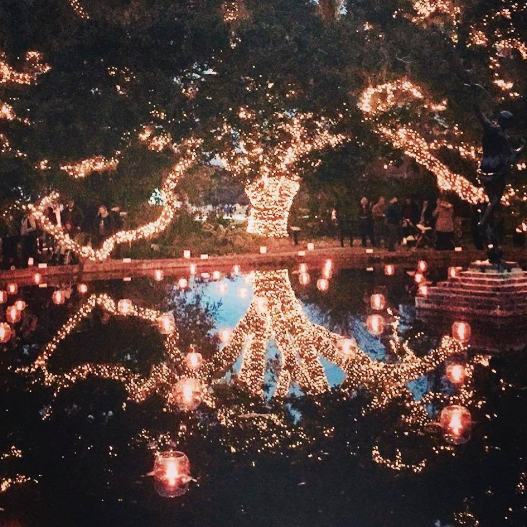 South Carolinas Winter Wonderland