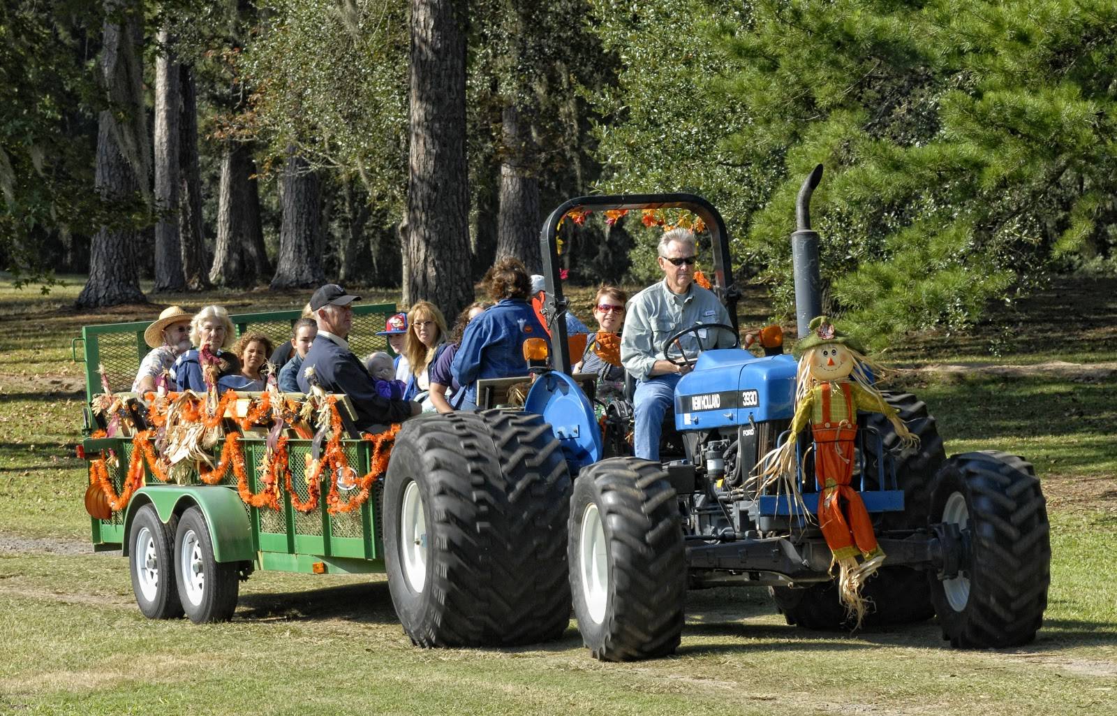 14 Brookgreen Garden Boat Rides Ideas To Consider | SharonSable