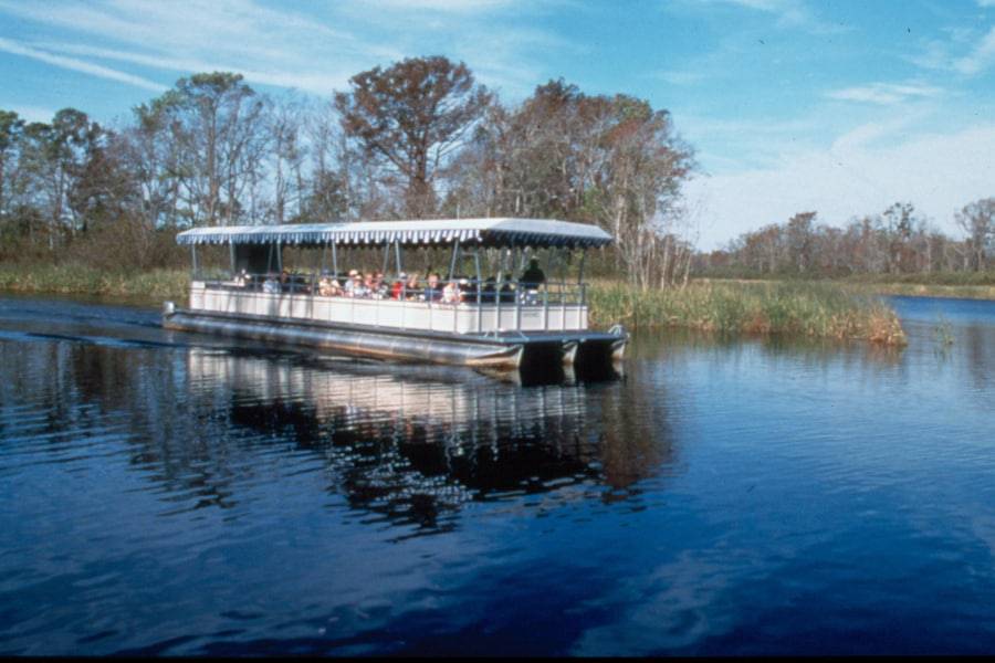 The Fan Favorite Creek Excursions