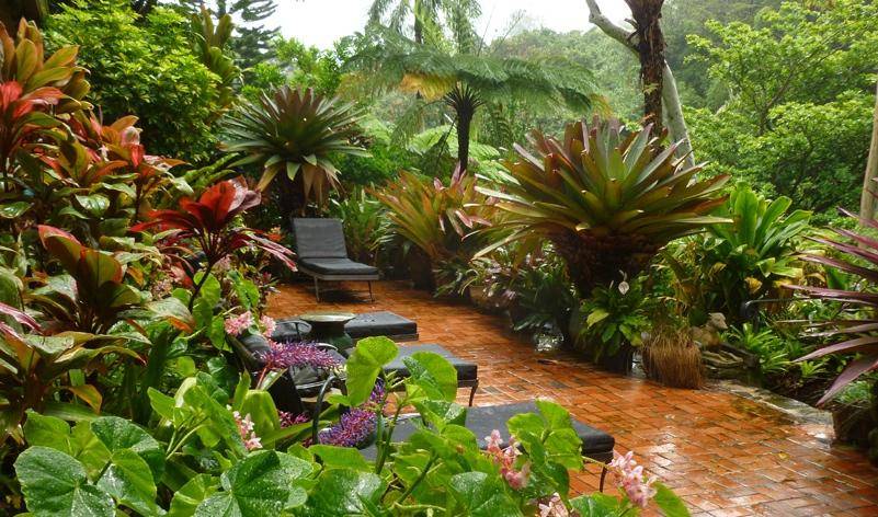 Tropical Landscaping Design Ideas Hgtv