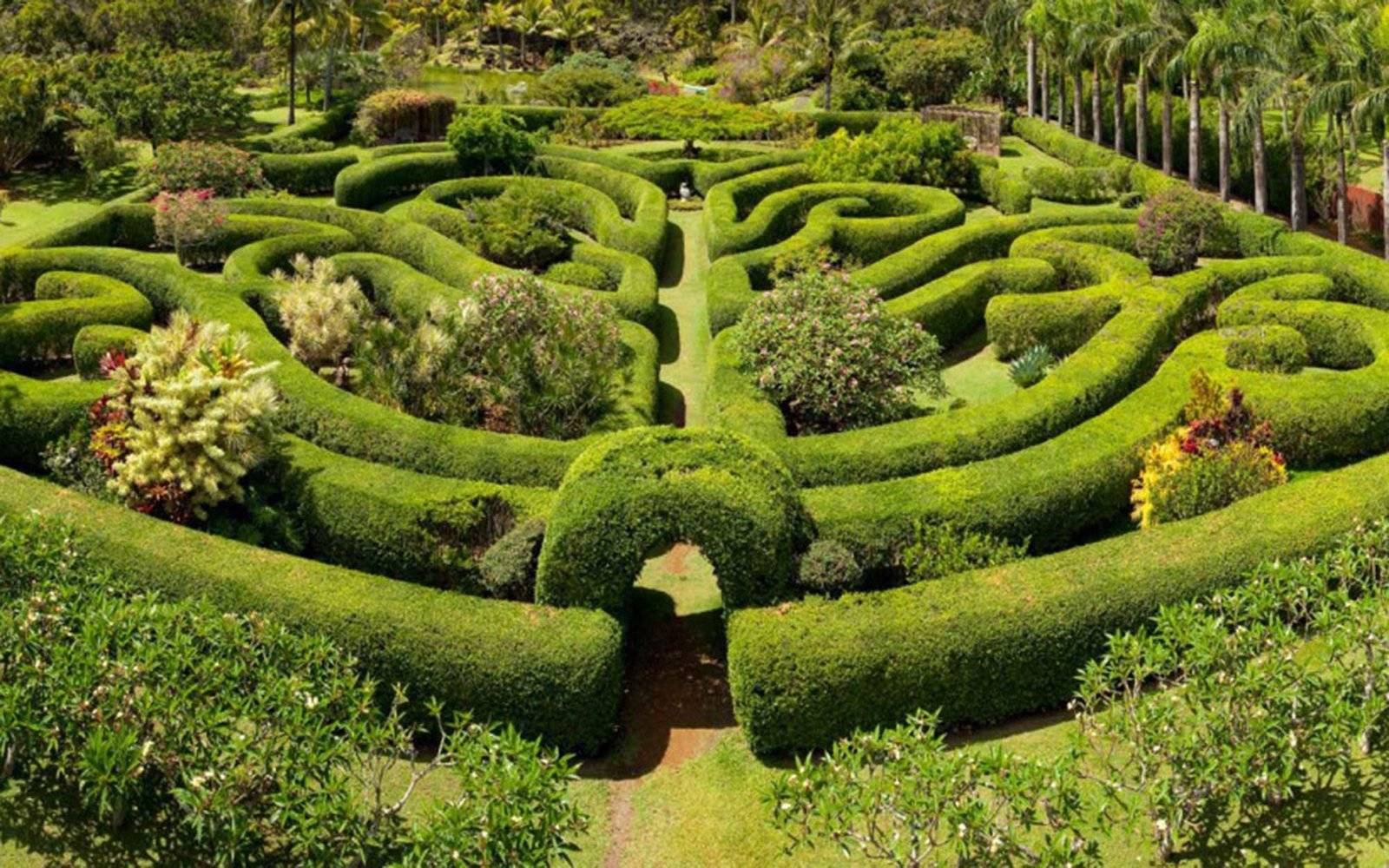 Tropical Outdoor Shower Hgtv