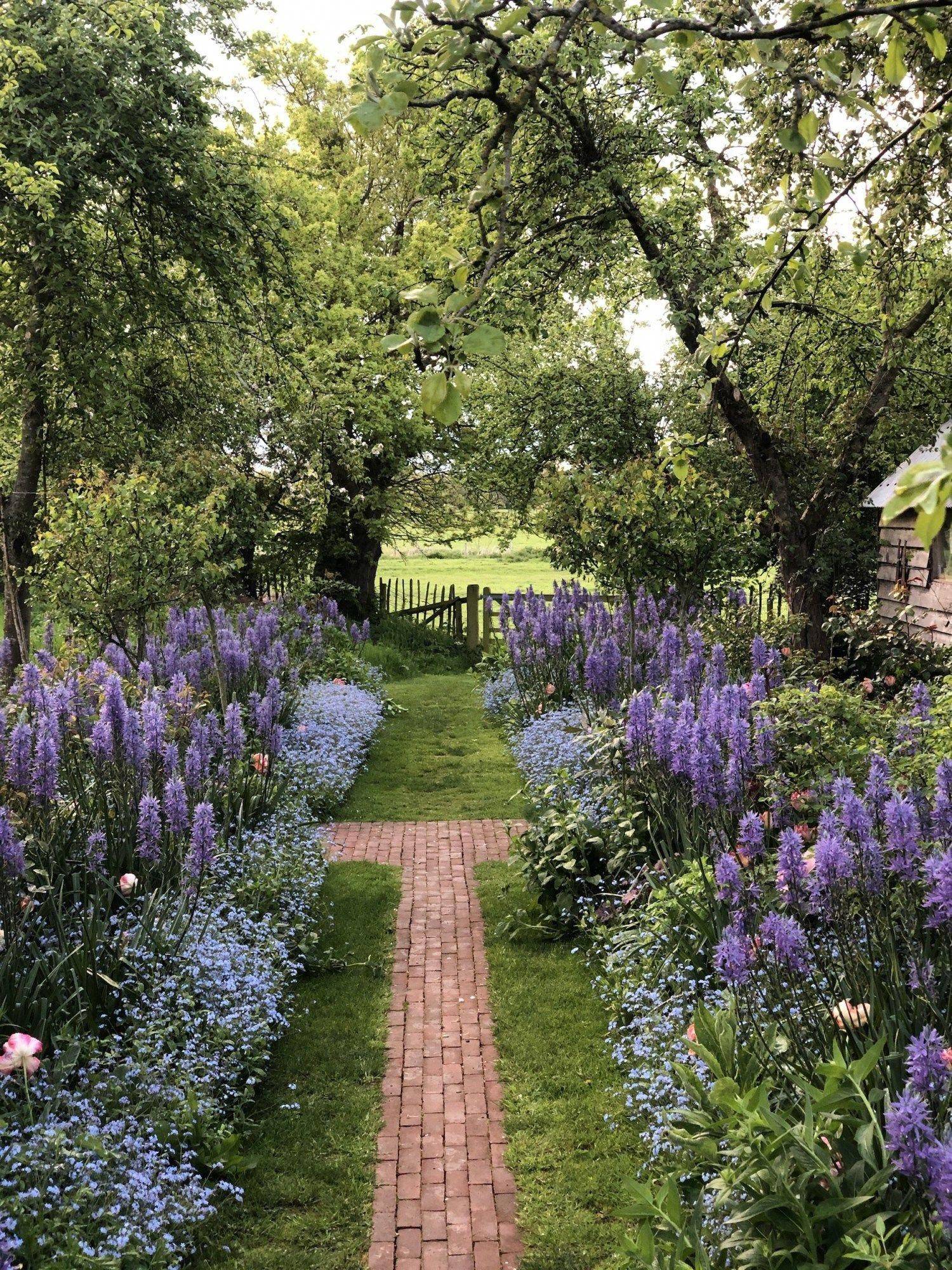 A Rose Garden