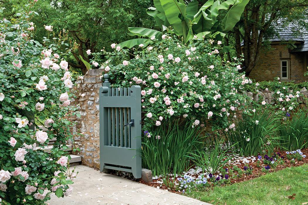A Rose Garden