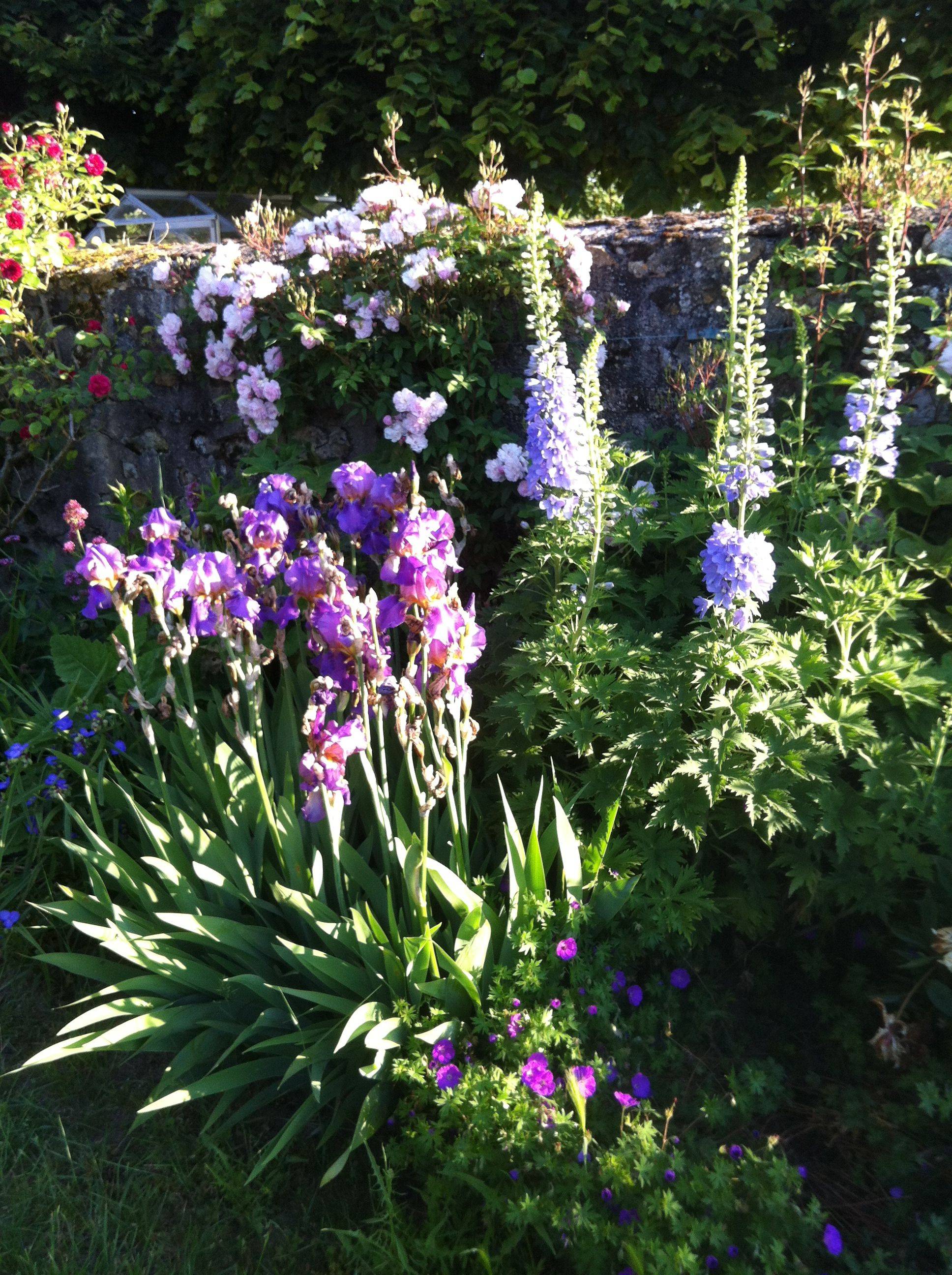 Beautiful French Cottage Garden Design Ideas