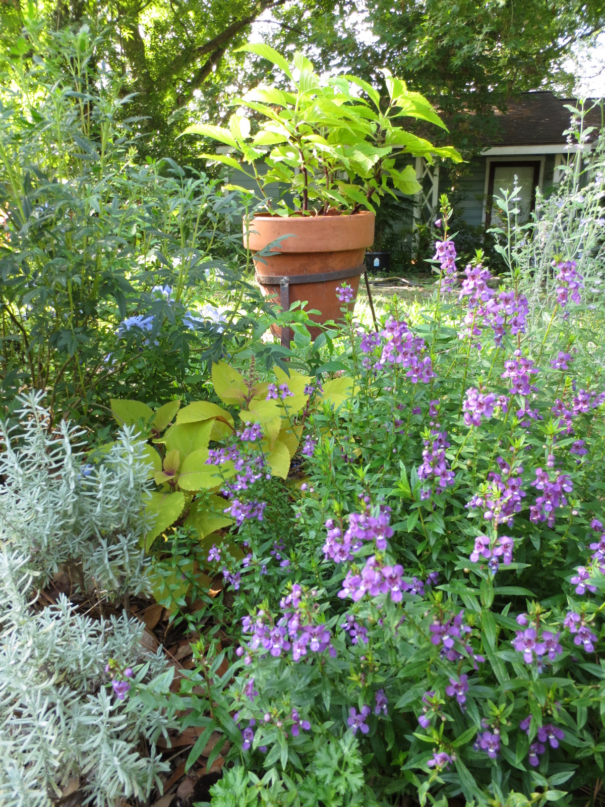 Country Flower Garden Ideas
