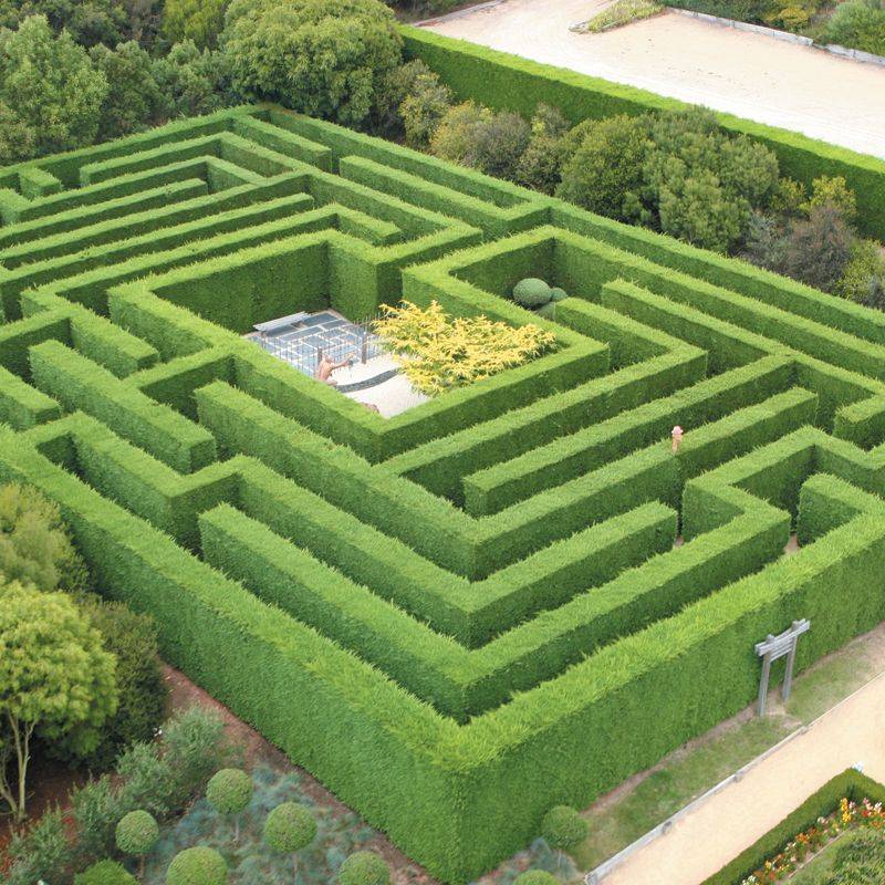 Mindboggling Hedge Maze Garden Labyrinth Designs