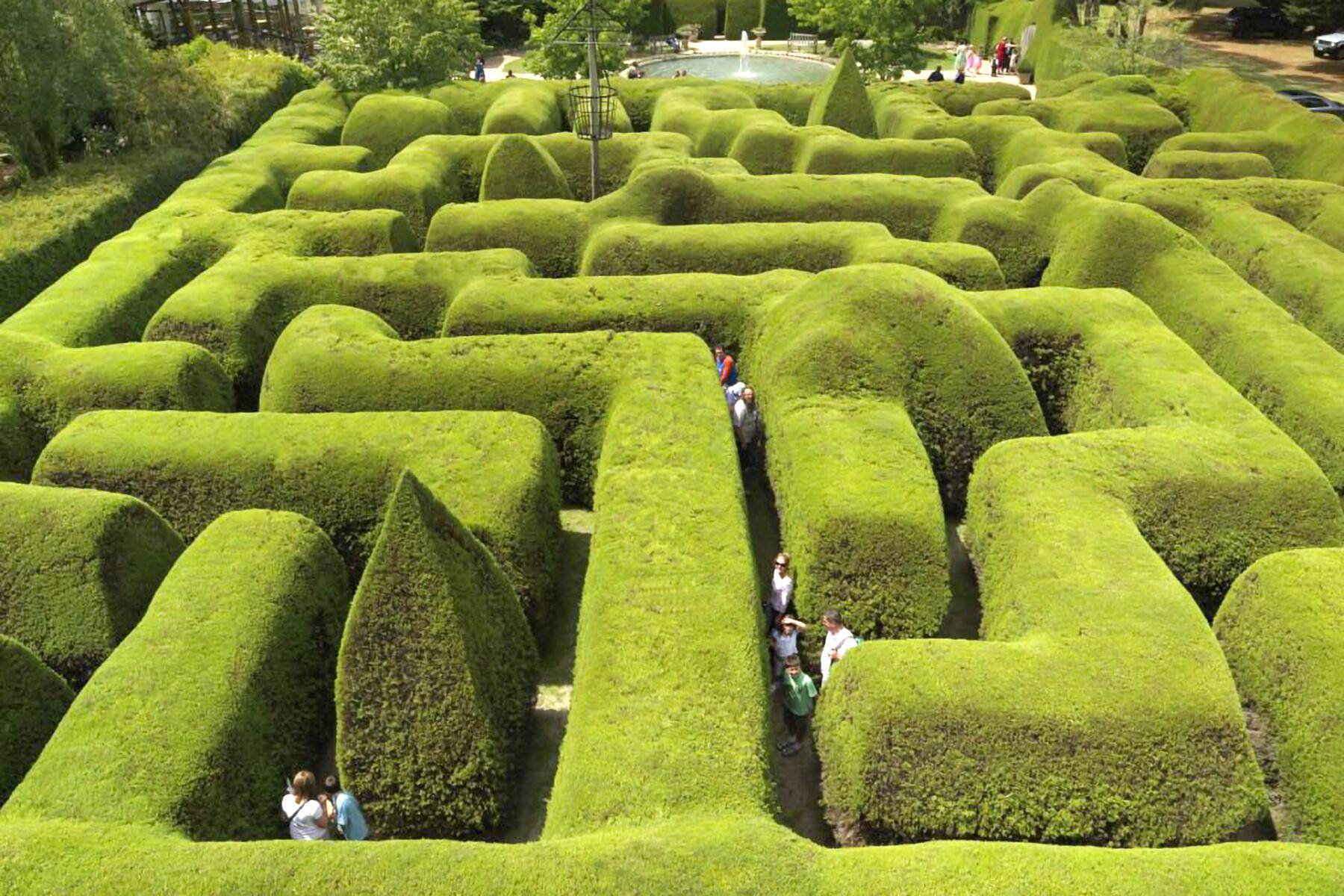 Mindboggling Hedge Maze Garden Labyrinth Designs