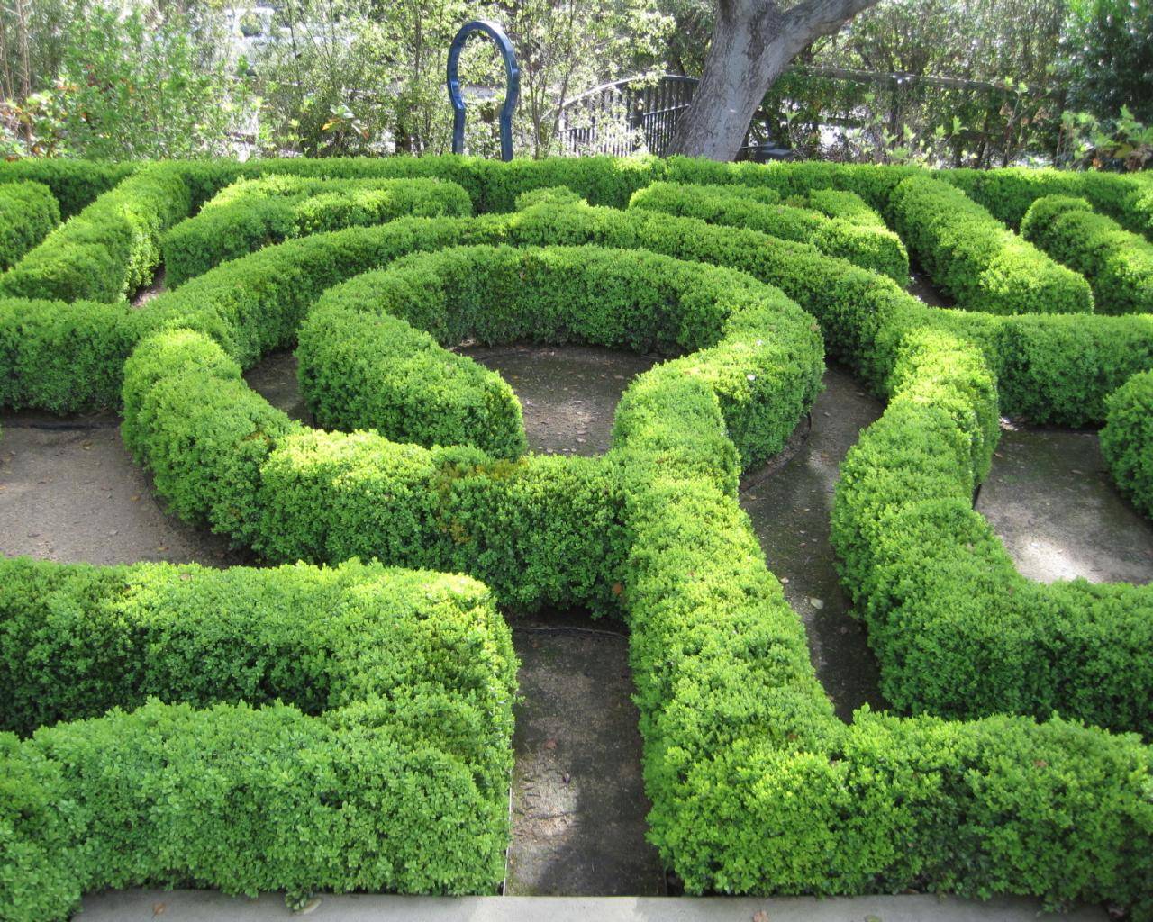 Mindboggling Hedge Maze Garden Labyrinth Designs