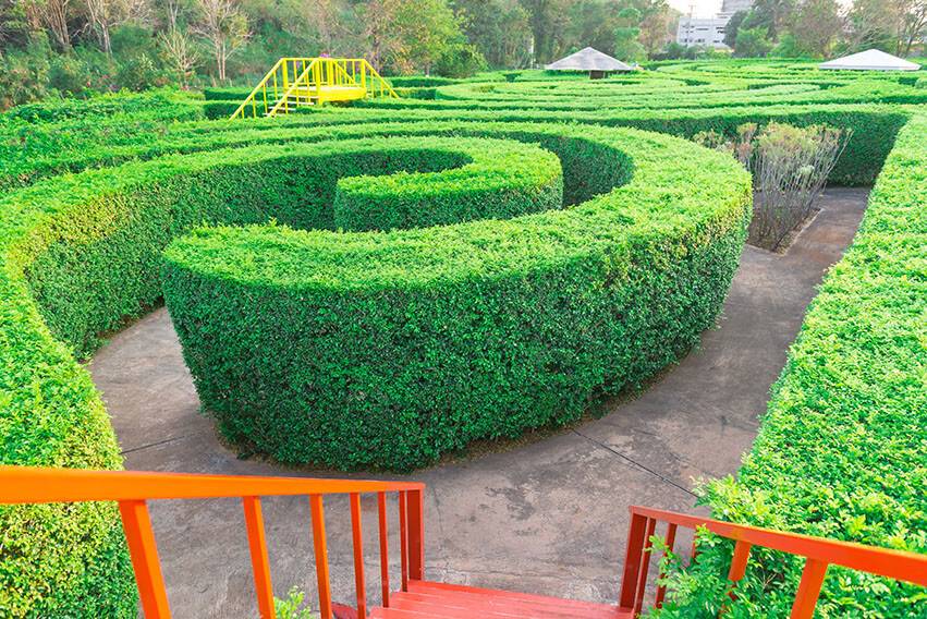 23 Garden Maze Ideas You Must Look | SharonSable