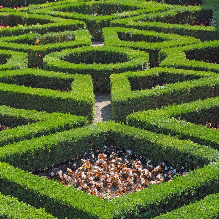 Amazing Maze Garden