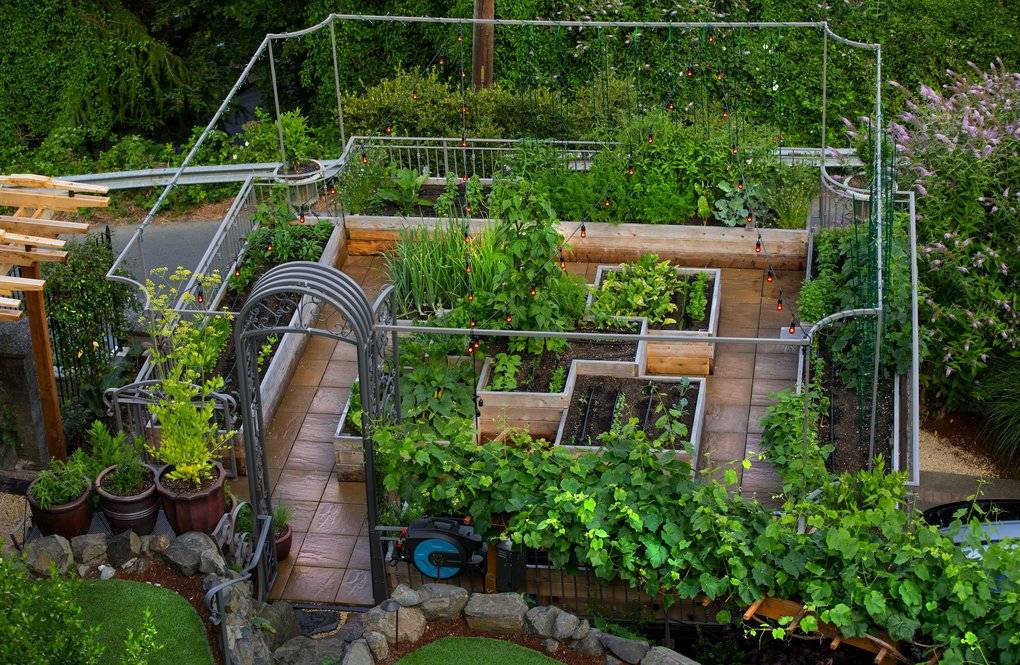 Fantastic Backyard Vegetable Garden Ideas
