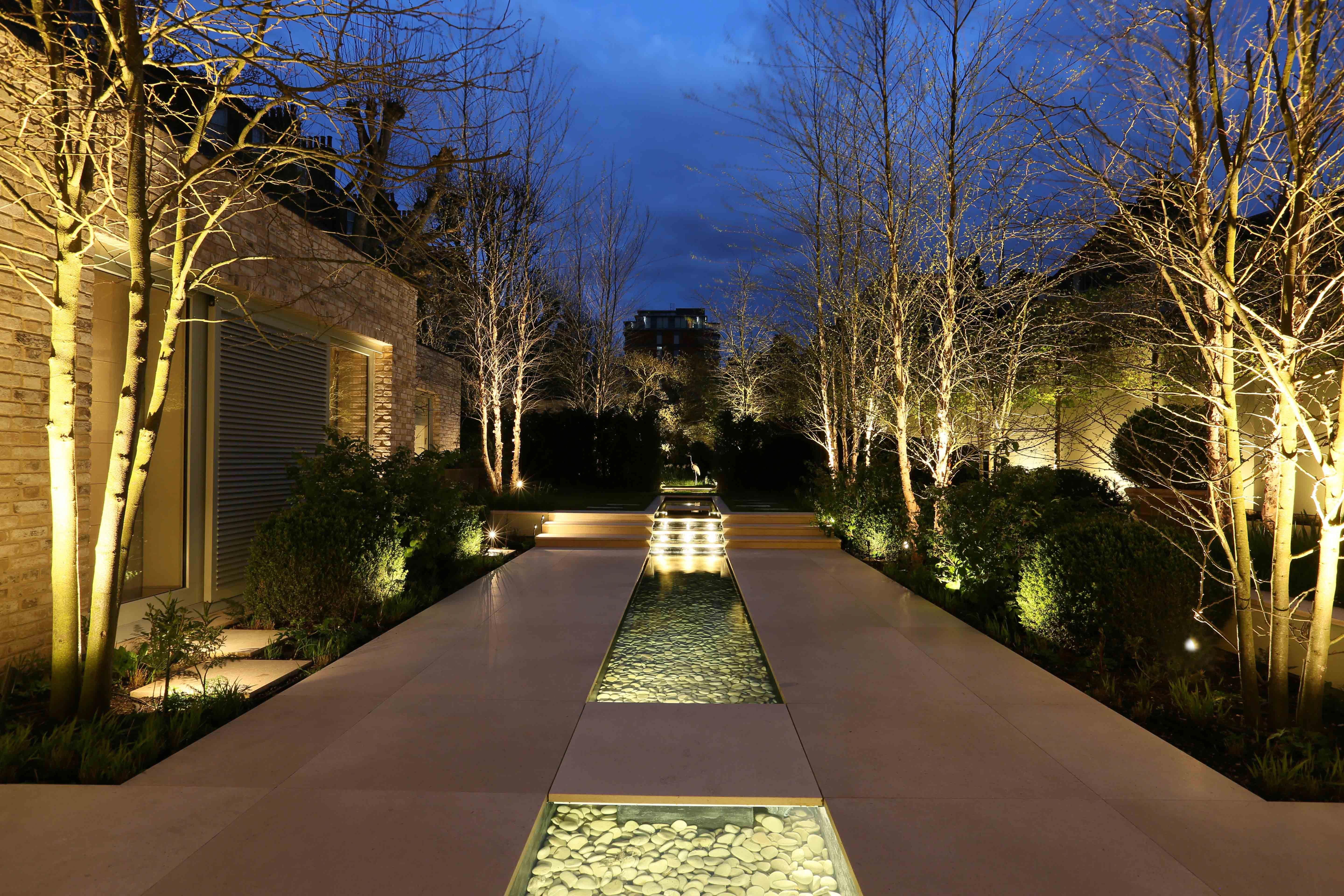 A Contemporary Garden