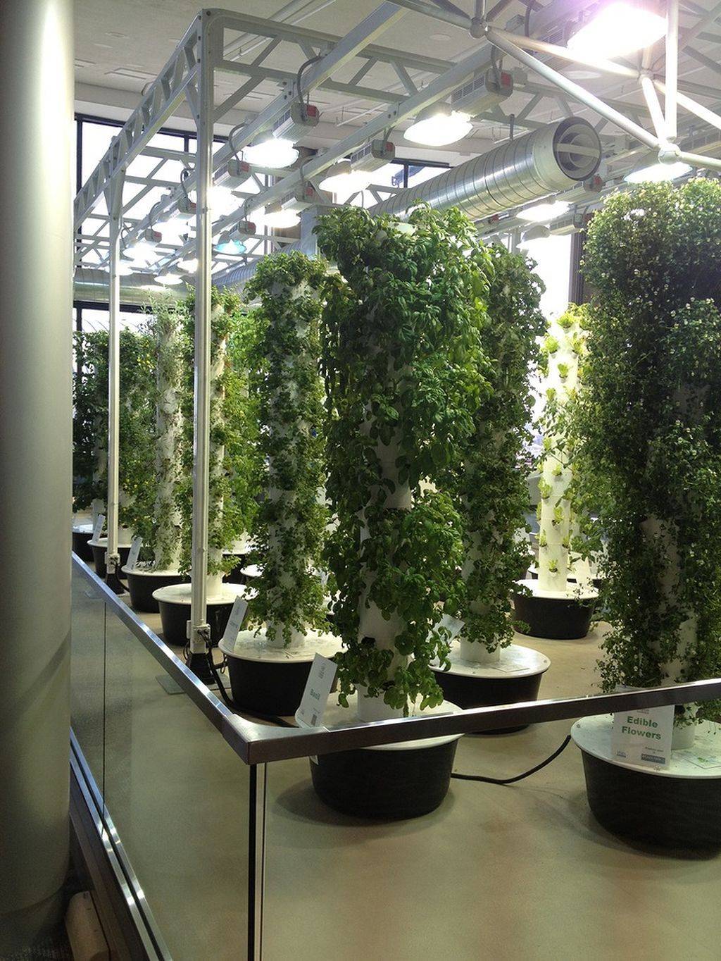 Awesome Indoor Hydroponic Wall Garden Design Ideas Hydroponic