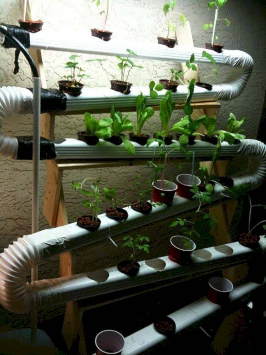 Awesome Hydroponic Garden Ideas