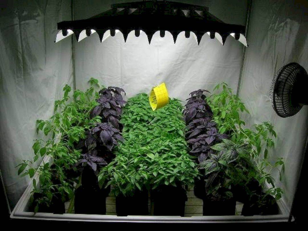Lovely Indoor Hydroponic Garden Ideas
