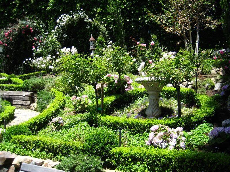 Minimalist Garden