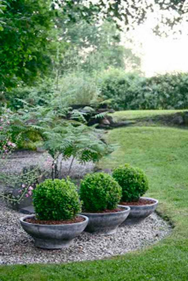 Tree Shade Landscaping Ideas
