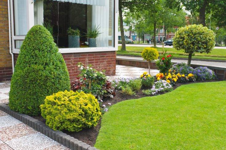 Brilliant Backyard Tree Ideas Home Stratosphere