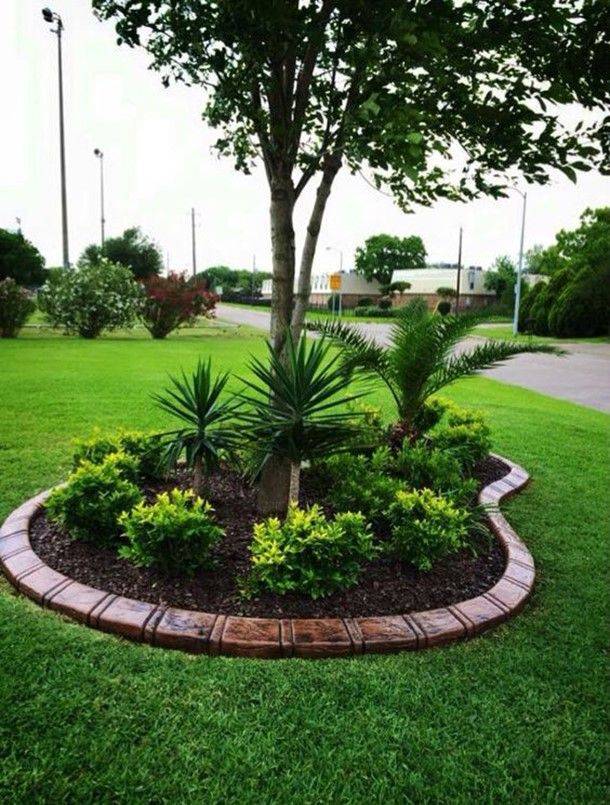 Top Garden Plants