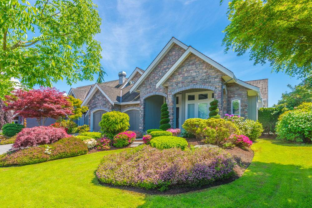 Top Garden Plants