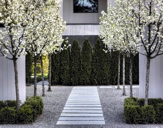 Fascinating Evergreen