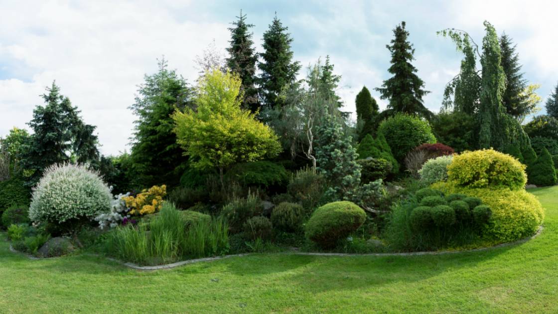 Landscaping Around Trees