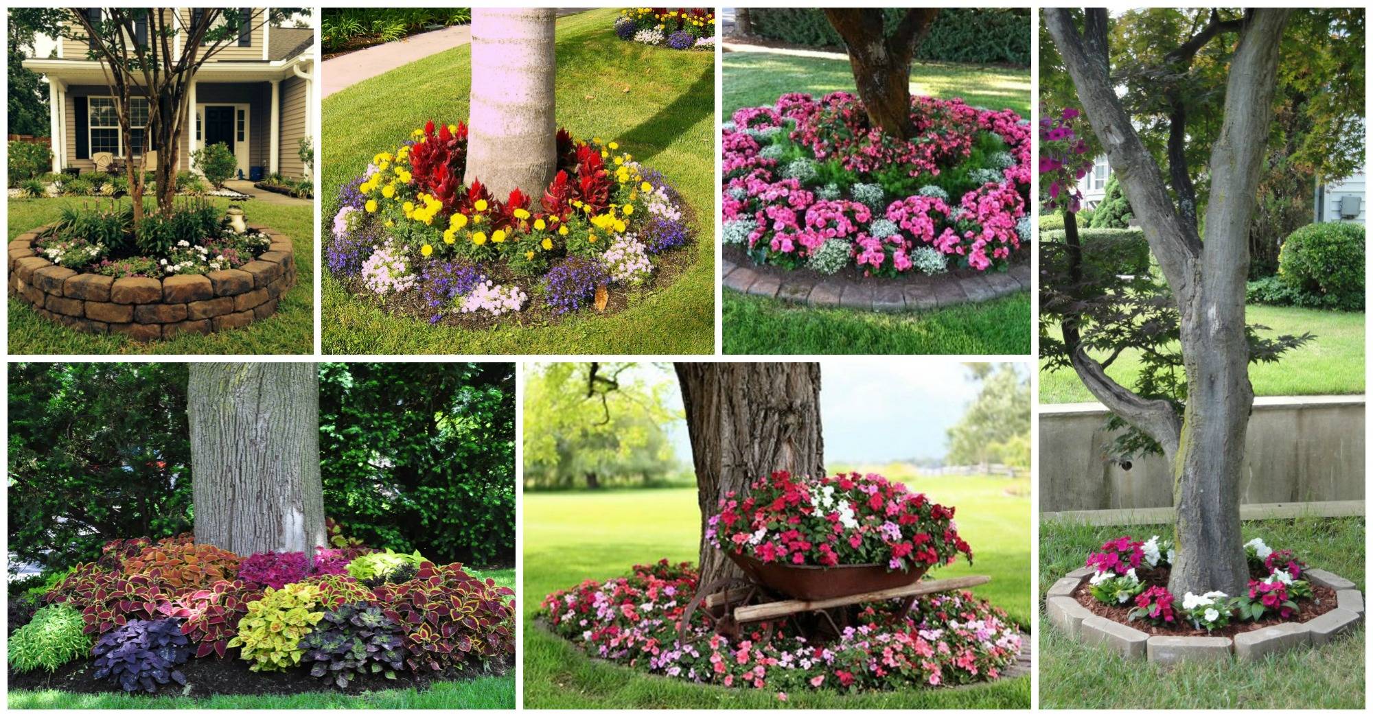 Gorgeous Front Yard Landscaping Ideas