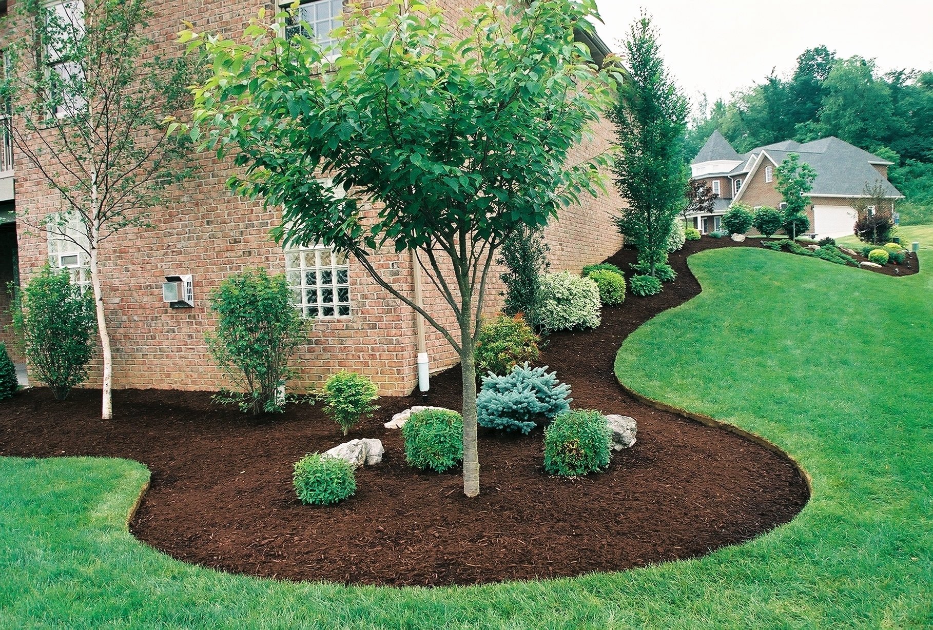 Evergreen Tree Landscape Ideas