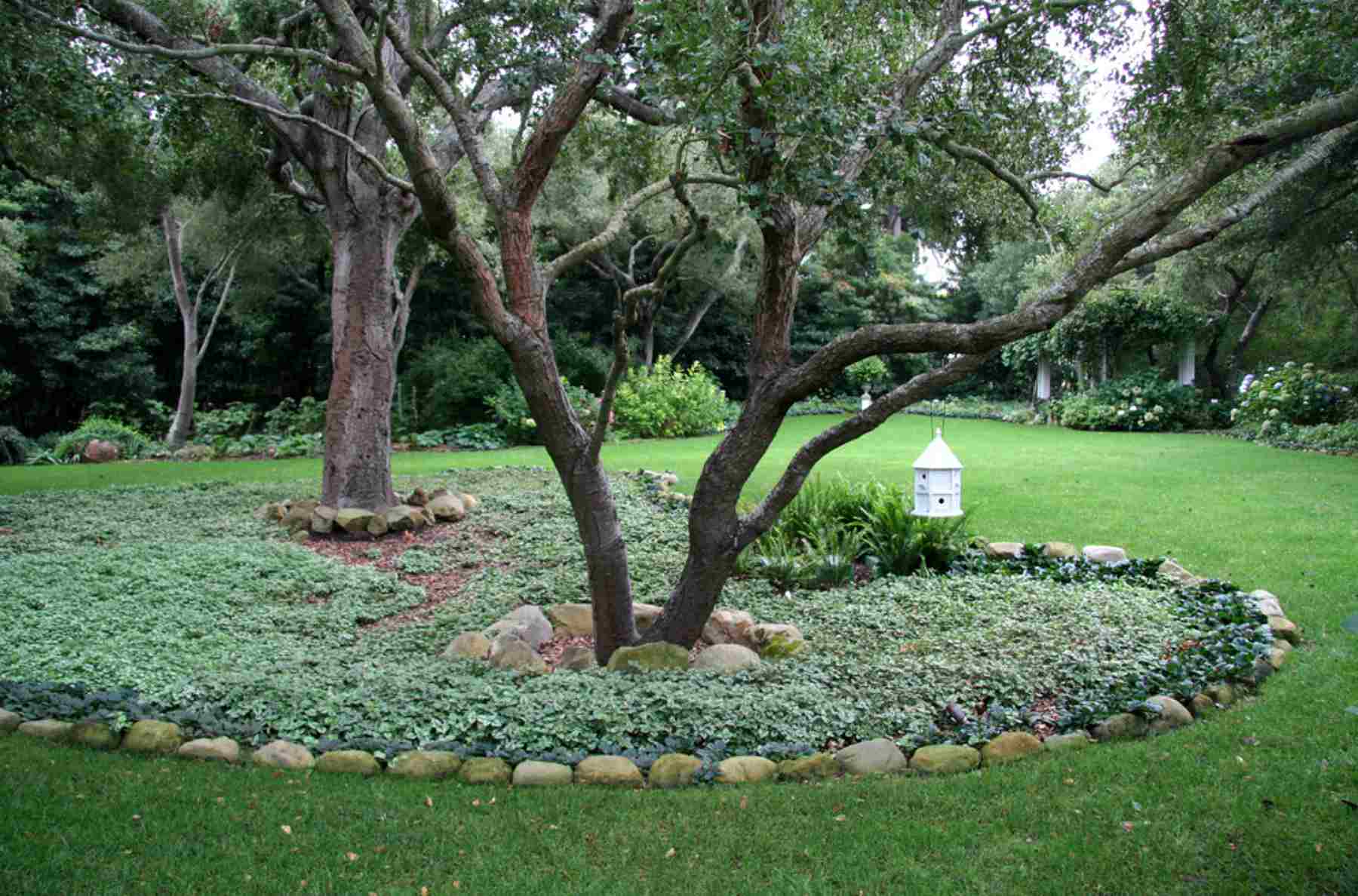 Plantslandscaping Design Garden Ideas