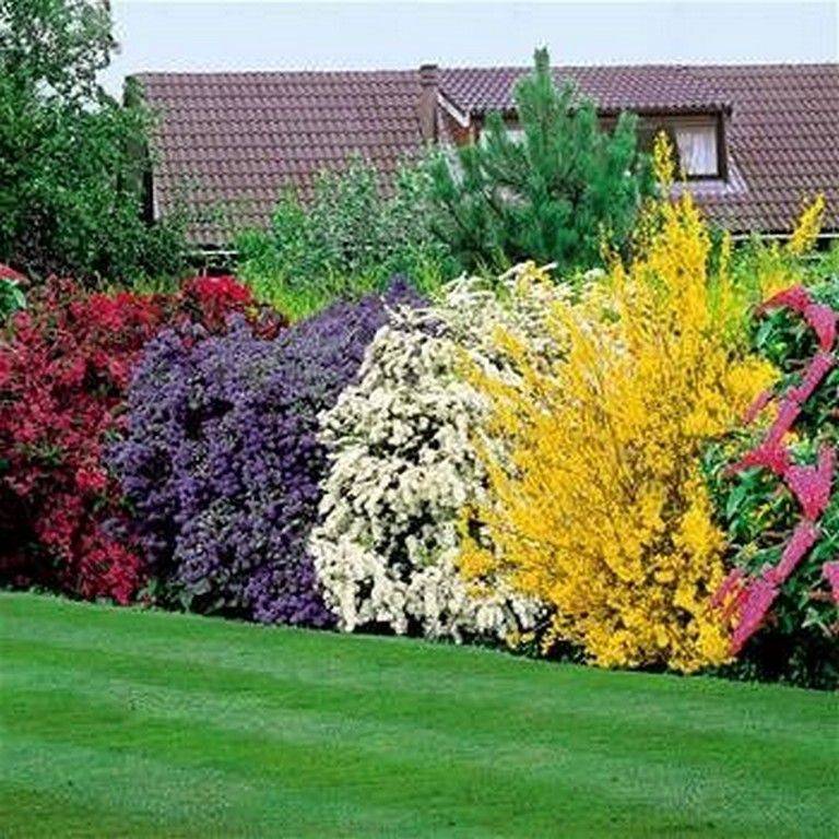 Bushes Landscaping Designs Ideas