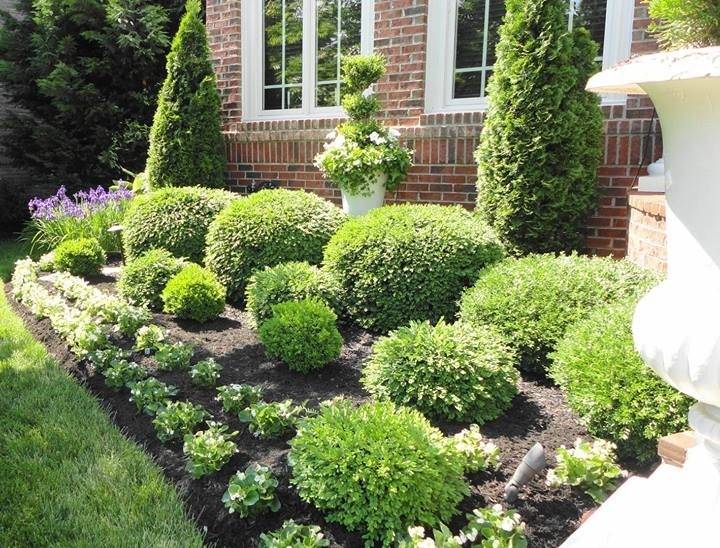 Lovely Small Flower Gardens